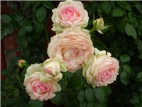 f7eadfdf-Picture 3362.jpg